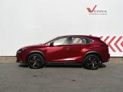 Lexus NX I Рестайлинг Пермь  - изображение 17