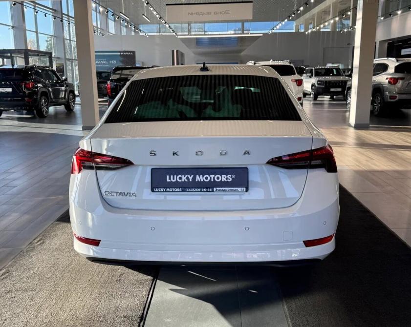 Skoda Octavia IV (A8) Екатеринбург  - изображение 5