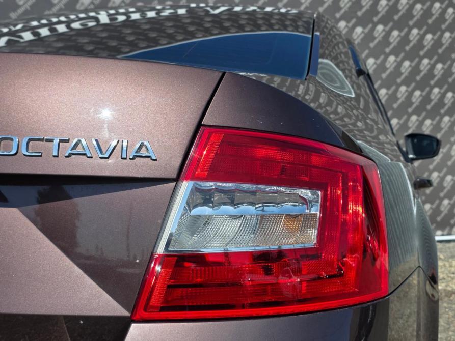 Skoda Octavia III (A7) Краснодар  - изображение 11