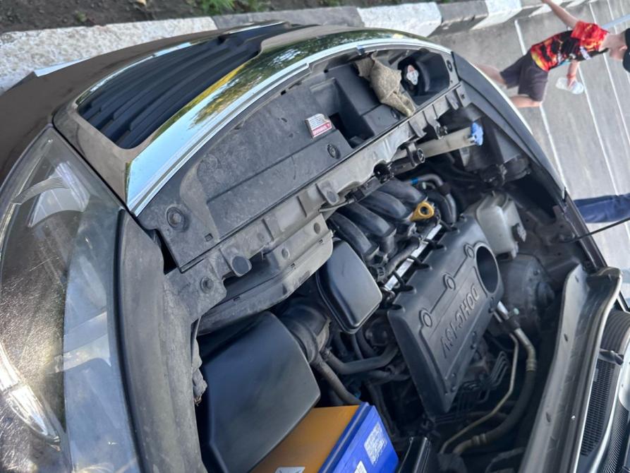 Kia Sportage III Нижний Новгород  - изображение 10