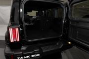 Tank 300 I Москва  - изображение 27