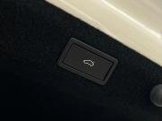 Skoda Octavia IV (A8) Санкт-Петербург  - изображение 38