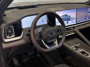 Geely Monjaro I Рестайлинг Москва  - изображение 22