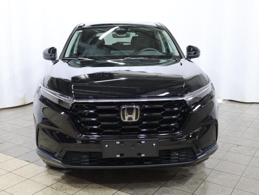 Honda CR-V VI Москва  - изображение 2