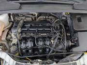 Ford Focus III Рестайлинг Москва  - изображение 34