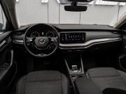 Skoda Octavia IV (A8) Краснодар  - изображение 29