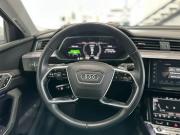 Audi e-tron I Владимир  - изображение 32