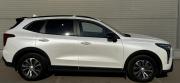 Haval Jolion I Рестайлинг Липецк  - изображение 16