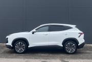 JETOUR DASHING I Красноярск  - изображение 31