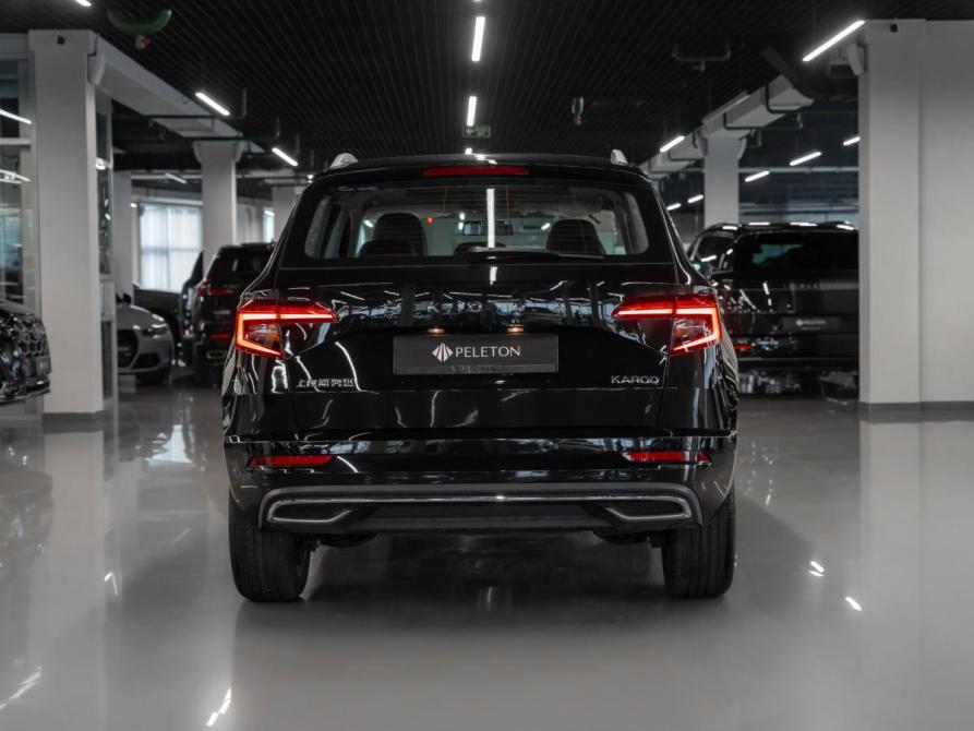 Skoda Karoq I Москва  - изображение 6
