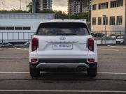 Hyundai Palisade I Москва  - изображение 29