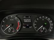 Skoda Octavia IV (A8) Тамбов  - изображение 33