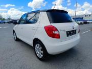Skoda Fabia II Рестайлинг Тюмень  - изображение 23