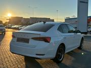Skoda Octavia IV (A8) Сыктывкар  - изображение 33