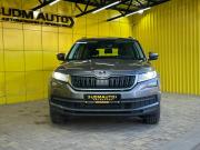 Skoda Kodiaq I Ижевск  - изображение 20