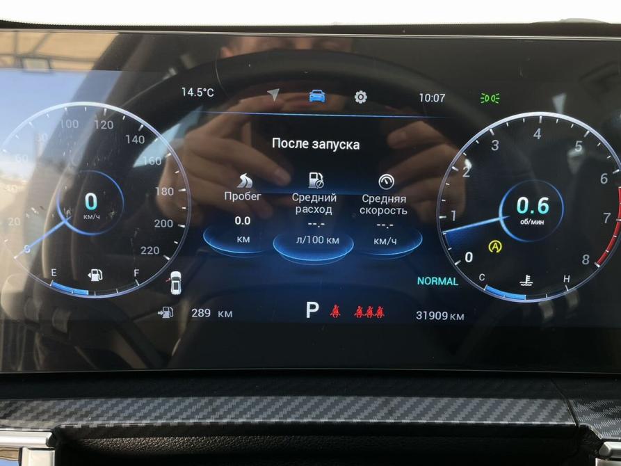 Chery Tiggo 7 Pro Max I Рестайлинг Тамбов  - изображение 14