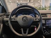 Skoda Octavia III (A7) Рестайлинг Санкт-Петербург  - изображение 27