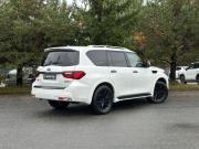 Infiniti QX80 I Рестайлинг 3 Санкт-Петербург  - изображение 46