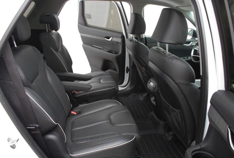 Hyundai Palisade I Рестайлинг Нижний Новгород  - изображение 13