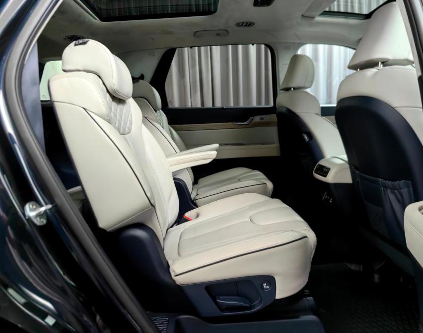 Hyundai Palisade I Москва  - изображение 10