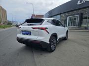 JETOUR DASHING I Санкт-Петербург  - изображение 24