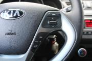 Kia Rio III Рестайлинг Пермь  - изображение 34