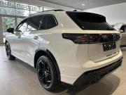 Volkswagen Tiguan II Рестайлинг (China Market) Великий Новгород  - изображение 35