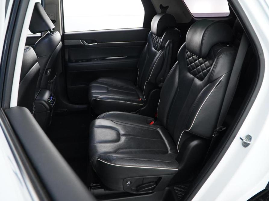 Hyundai Palisade I Москва  - изображение 10