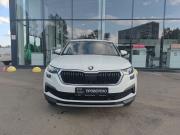 Skoda Kodiaq I Рестайлинг Ижевск  - изображение 24