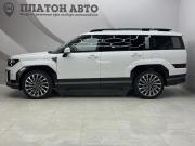 Hyundai Santa Fe V (MX5) Воронеж  - изображение 26