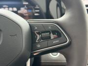 Geely Monjaro I Рестайлинг Воронеж  - изображение 44