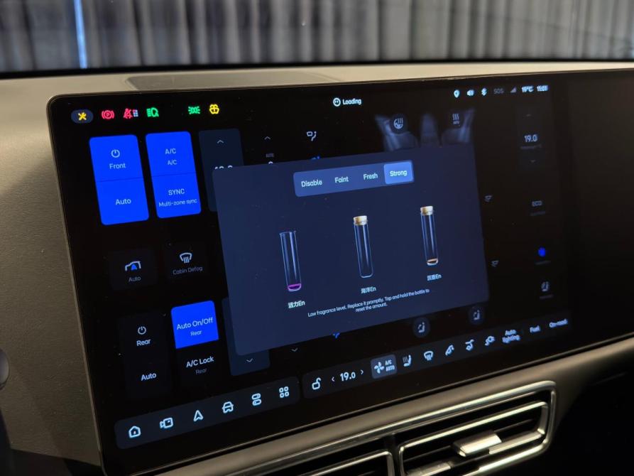Li Auto (Lixiang) L9 I Тюмень  - изображение 29