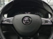 Skoda Kodiaq I Москва  - изображение 36