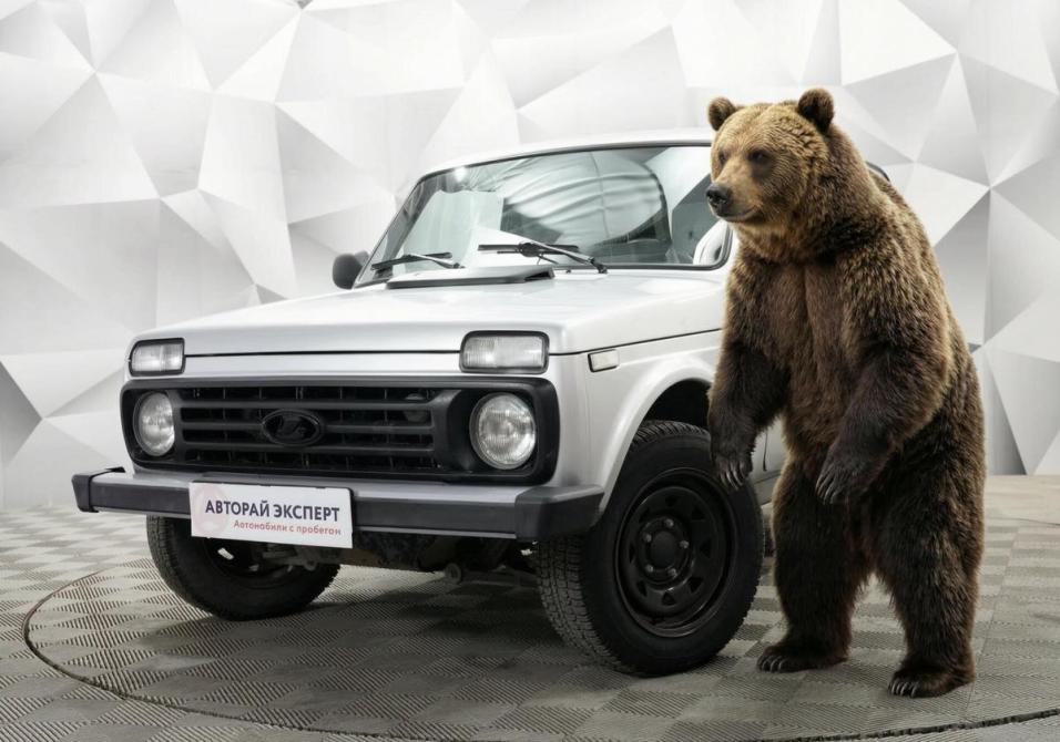 Lada (ВАЗ) 2121 (4x4) I Рестайлинг Ульяновск  - изображение 1