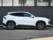JETOUR DASHING I Новороссийск  - изображение 26
