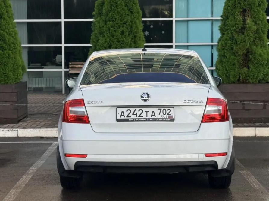 Skoda Octavia III (A7) Рестайлинг Уфа  - изображение 5