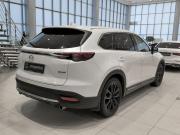 Mazda CX-9 II Казань  - изображение 28
