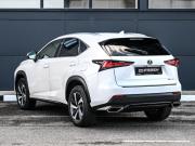 Lexus NX I Рестайлинг Новороссийск  - изображение 25