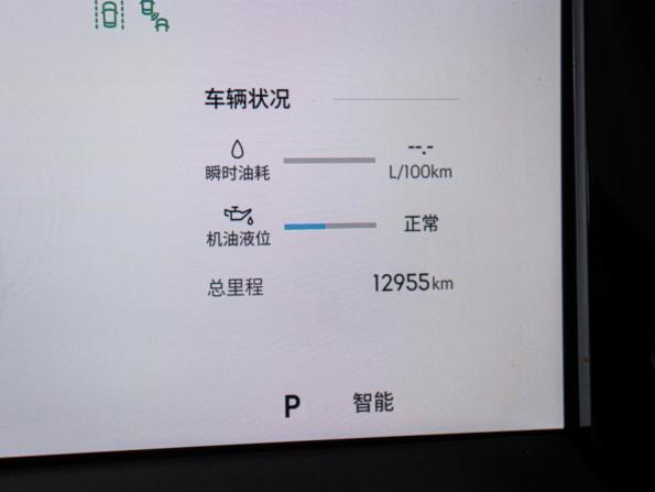 Geely Monjaro I Рестайлинг 2 (China Market) с пробегом 2026 года, цена 4 190 000 рублей, 12400 км, внедорожник, Автокод Объявления
