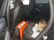 BMW X6 III (G06) Москва  - изображение 33