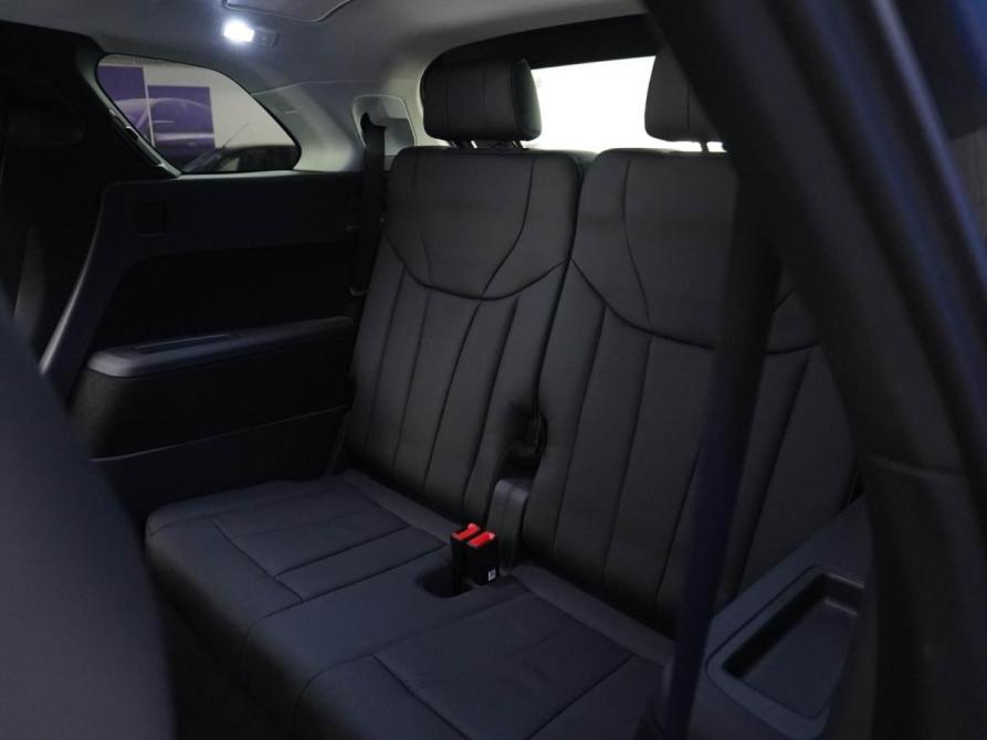 Hongqi E-HS9 Москва  - изображение 12