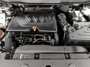 Haval DaGou (Big Dog) I Москва  - изображение 38