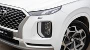 Hyundai Palisade I Москва  - изображение 50