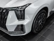 GAC GS8 II Москва  - изображение 23