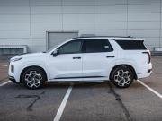 Hyundai Palisade I Москва  - изображение 30