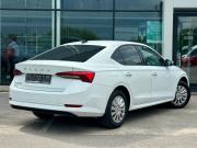 Skoda Octavia IV (A8) Воронеж  - изображение 19