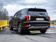 Hyundai Palisade I Москва  - изображение 21