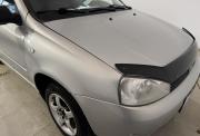 Lada (ВАЗ) Kalina I Саранск  - изображение 47