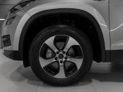 Skoda Kodiaq I Москва  - изображение 50