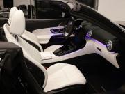 Mercedes-Benz SL-Класс AMG IV (R232) Москва  - изображение 85
